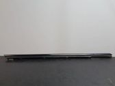 Door glass trim