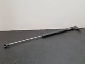 Tailgate/trunk strut/damper