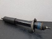 Stoßdämpfer hinten