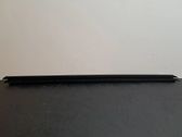 Door glass trim