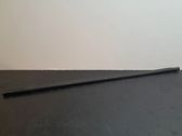 Door glass trim