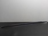 Front door trim (molding)
