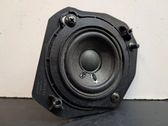 Panel speaker