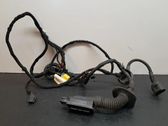 Other wiring loom
