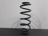 Muelle espiral trasero