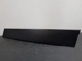 Rear door trim (molding)