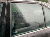 Fenster Scheibe Tür hinten