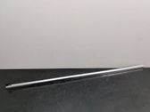 Door glass trim