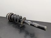 Rear shock absorber/damper