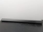 Front door trim (molding)