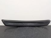 Rear sill trim cover