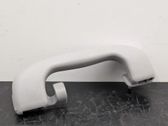 Front interior roof grab handle