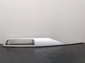 Dashboard trim