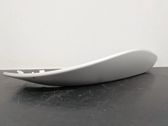 Rear door trim (molding)