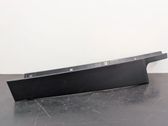 Rear door trim (molding)