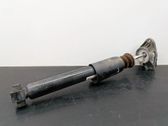 Rear shock absorber/damper