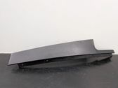 Rear door trim (molding)