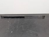 Tailgate/trunk strut/damper