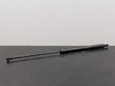 Tailgate/trunk strut/damper