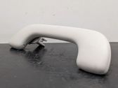 Front interior roof grab handle