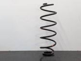Rear coil spring