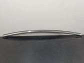 Rear door trim (molding)