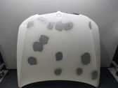 Engine bonnet/hood