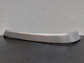 Rear door trim (molding)