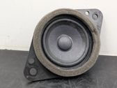 Panel speaker