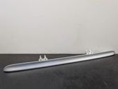 Tailgate/trunk side cover trim