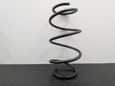 Front coil spring