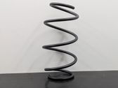 Front coil spring
