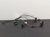 Other wiring loom