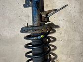 Front shock absorber/damper
