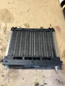 Electric cabin heater radiator