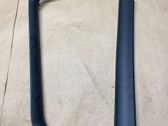 Rear door glass trim molding