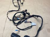 Front door wiring loom