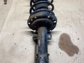 Front shock absorber with coil spring