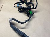 Front door wiring loom