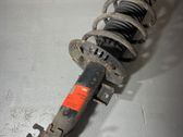 Front shock absorber with coil spring