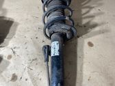 Front shock absorber with coil spring