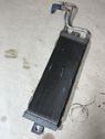 Radiatore del carburatore (radiatore)