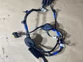 Front door wiring loom