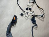 Front door wiring loom