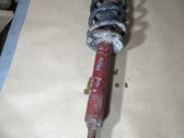 Front shock absorber with coil spring