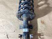 Front shock absorber with coil spring