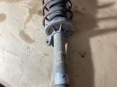 Front shock absorber with coil spring