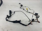 Front door wiring loom