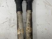 Rear shock absorber/damper