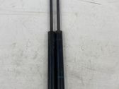 Front bonnet/hood damper/strut